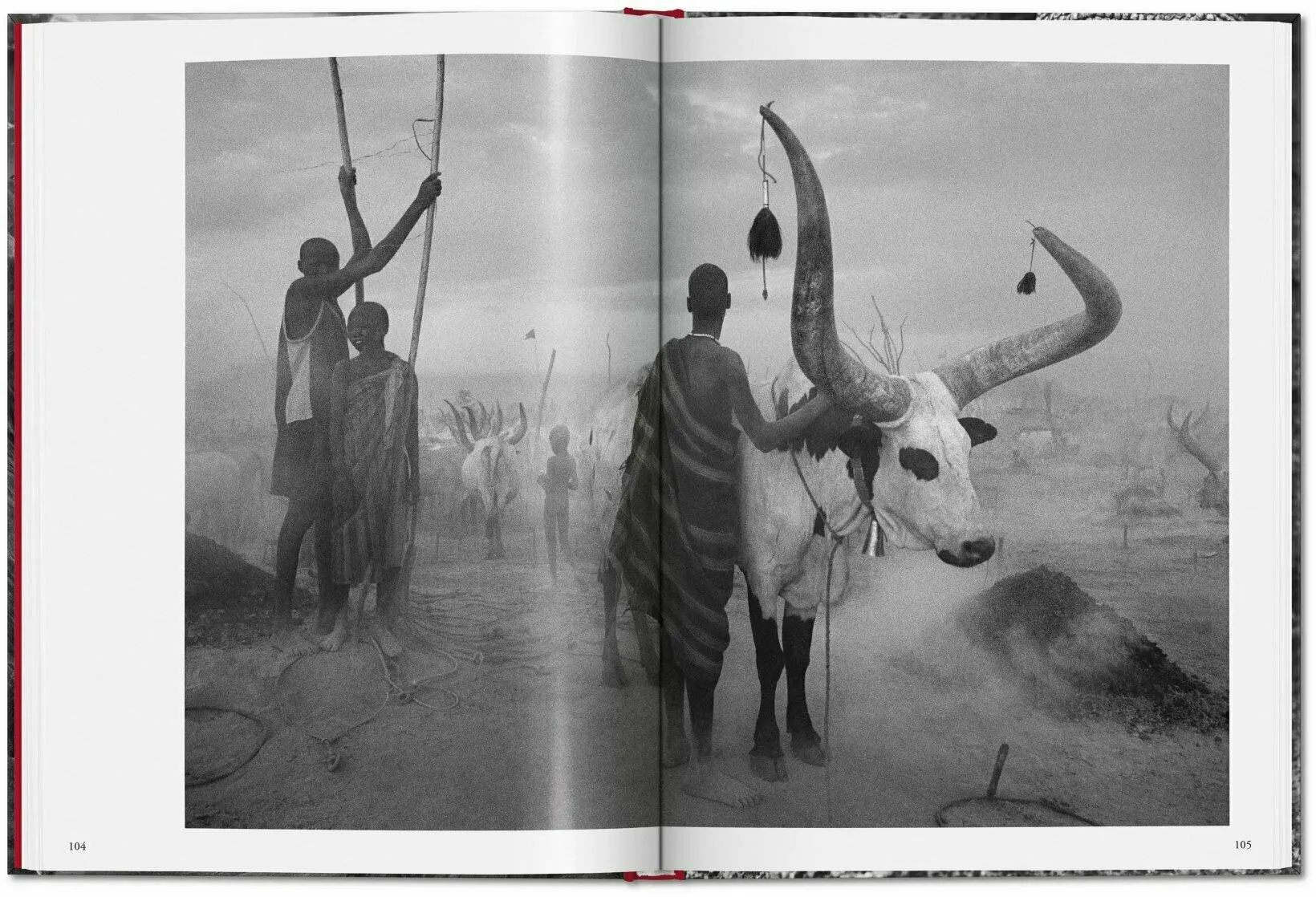 Bild: 9783836594011 | Sebastião Salgado. Genesis | Taschen | Buch | 192 S. | Englisch | 2022
