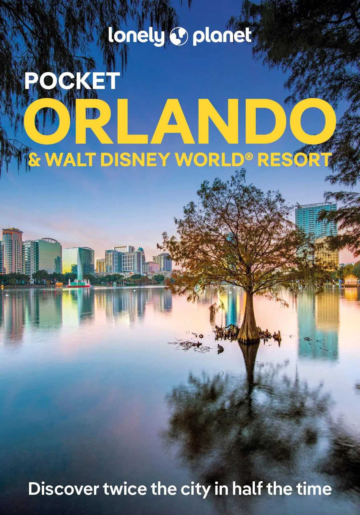 Cover: 9781838694111 | Lonely Planet Pocket Orlando &amp; Walt Disney World ® Resort | Buch