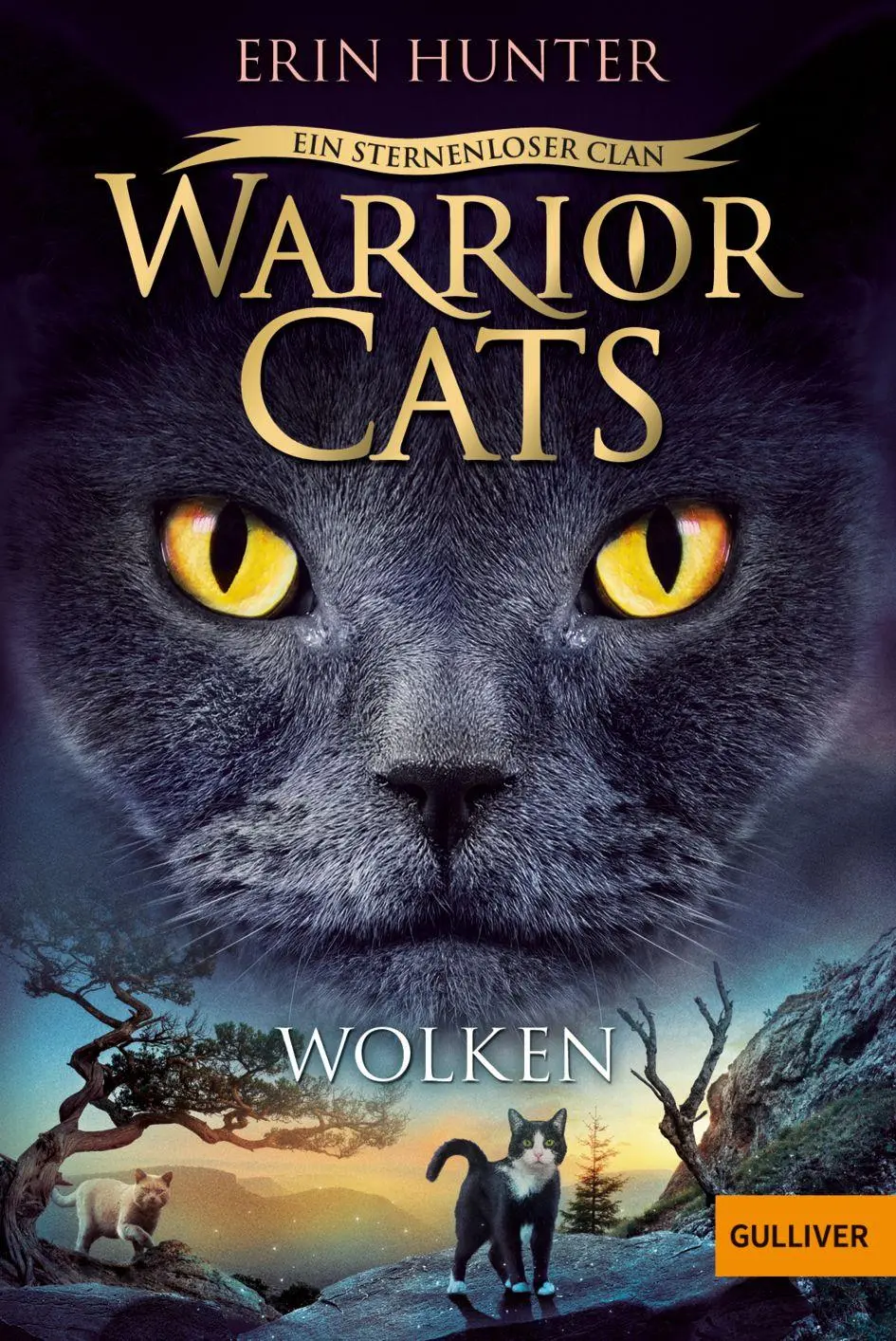 Cover: 9783407814111 | Warrior Cats - Ein sternenloser Clan. Wolken | Staffel VIII, Band 2