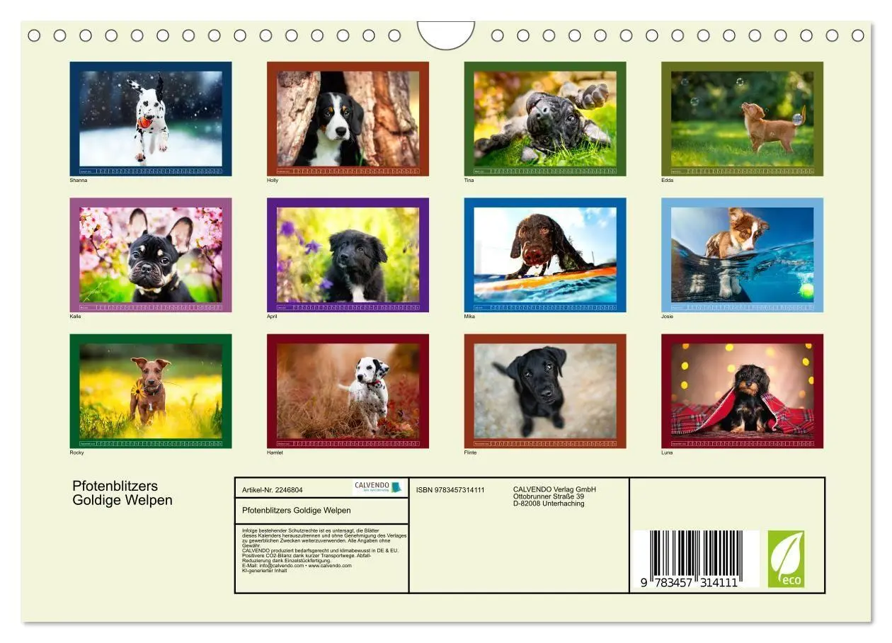Bild: 9783457314111 | Pfotenblitzers Goldige Welpen (Wandkalender 2026 DIN A4 quer),...