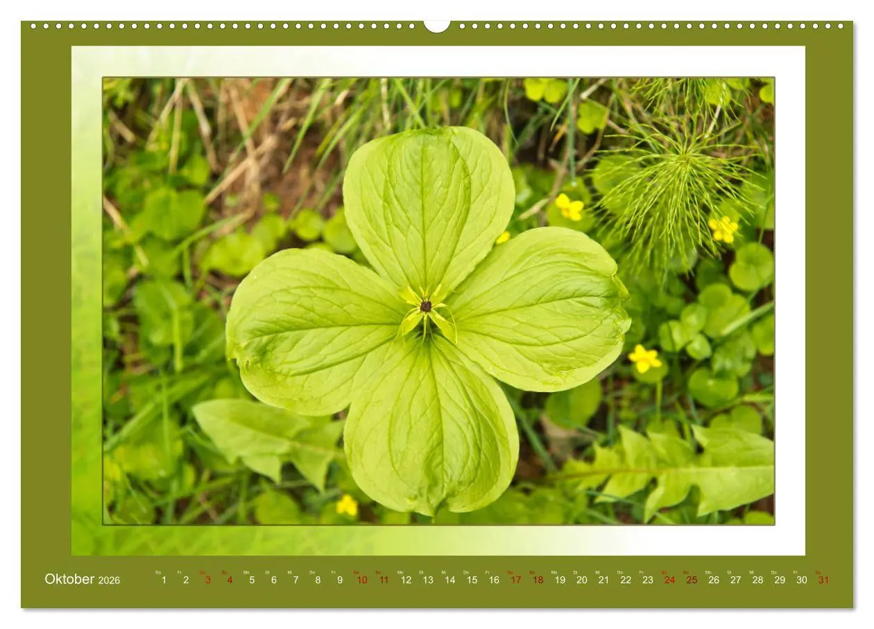 Bild: 9783457864111 | Das vergessene Tal. Schnalstal - Val Senales (Wandkalender 2026 DIN...