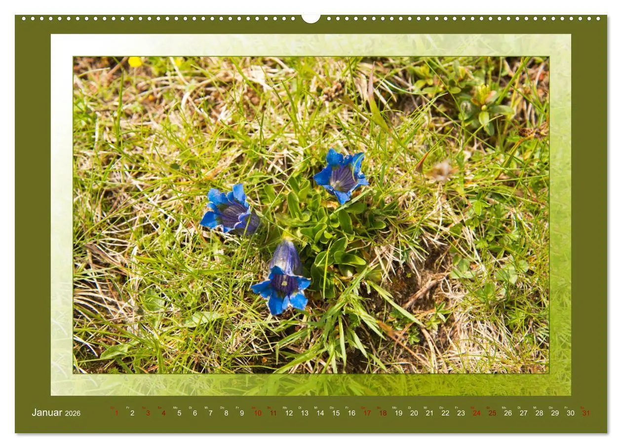 Bild: 9783457864111 | Das vergessene Tal. Schnalstal - Val Senales (Wandkalender 2026 DIN...