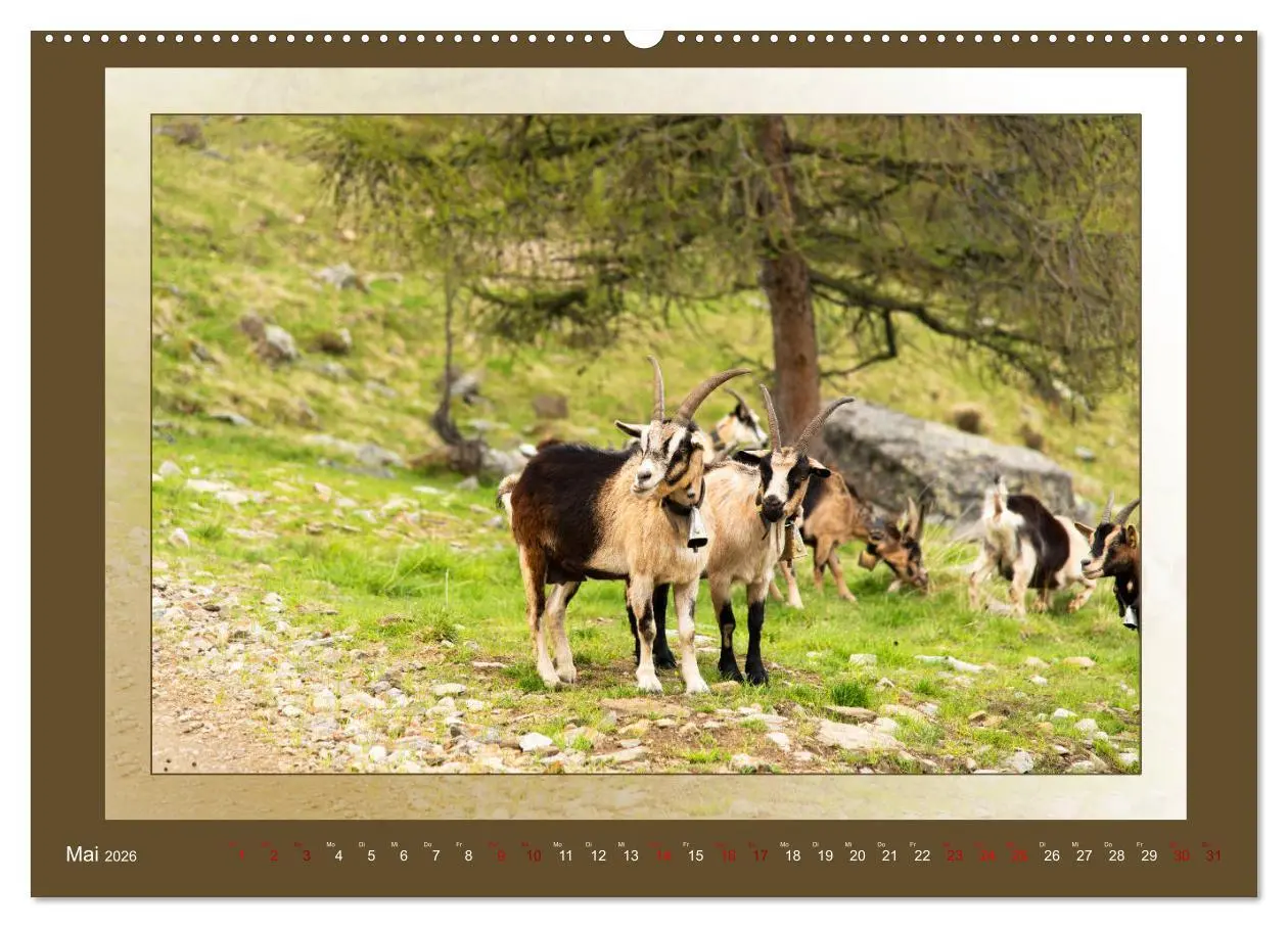 Bild: 9783457864111 | Das vergessene Tal. Schnalstal - Val Senales (Wandkalender 2026 DIN...
