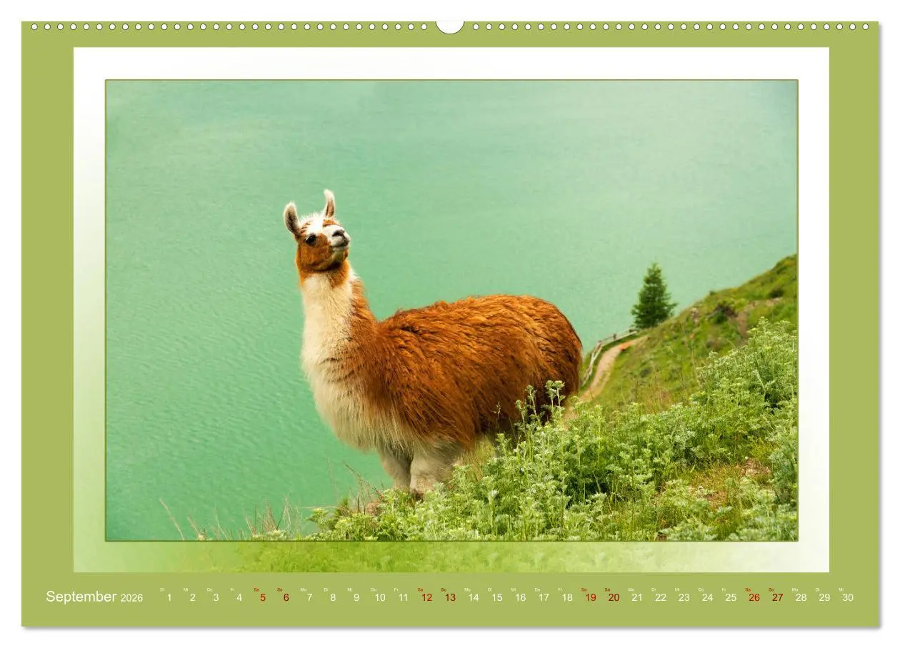 Bild: 9783457864111 | Das vergessene Tal. Schnalstal - Val Senales (Wandkalender 2026 DIN...