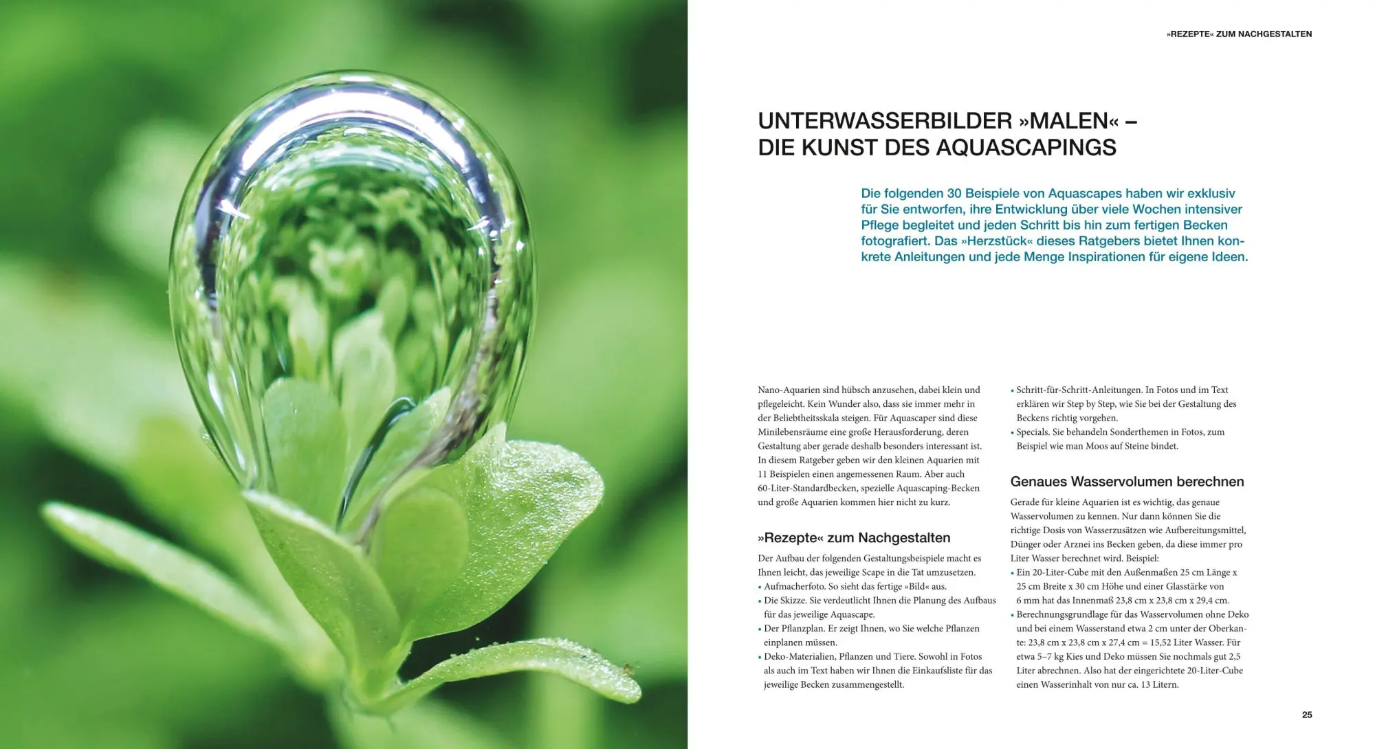 Bild: 9783833824111 | Aquascaping | Aquarienlandschaften gestalten | Oliver Knott (u. a.)