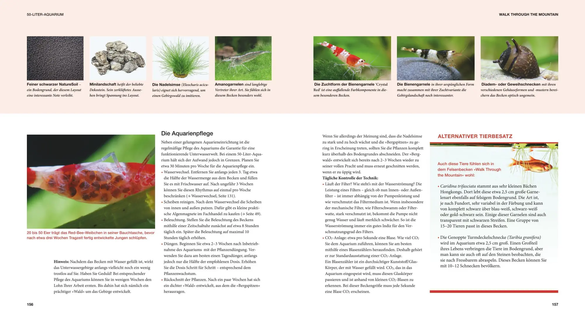 Bild: 9783833824111 | Aquascaping | Aquarienlandschaften gestalten | Oliver Knott (u. a.)
