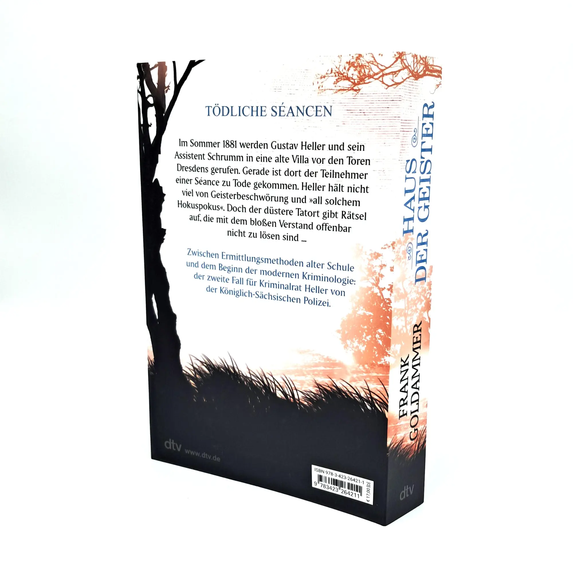 Bild: 9783423264211 | Haus der Geister | Kriminalroman | Frank Goldammer | Taschenbuch