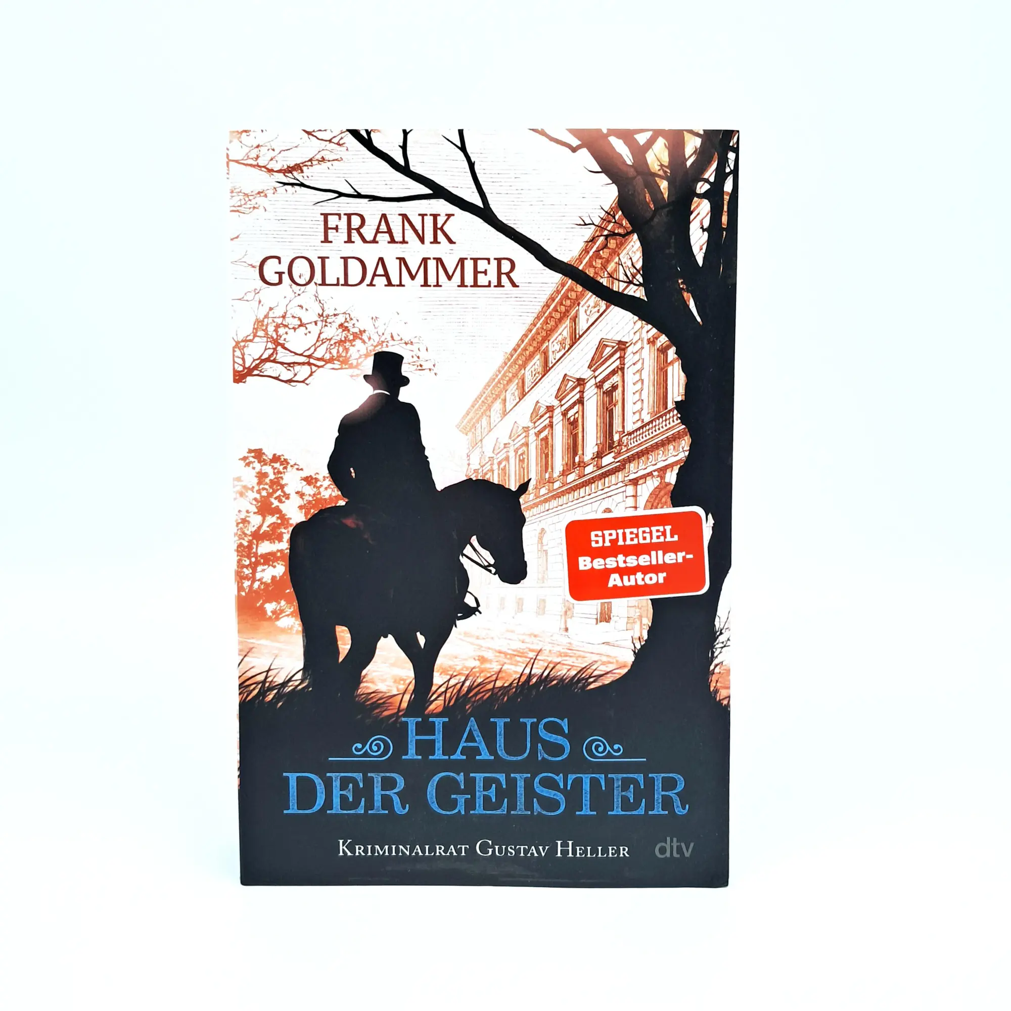 Bild: 9783423264211 | Haus der Geister | Kriminalroman | Frank Goldammer | Taschenbuch