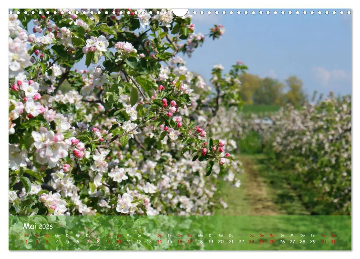 Bild: 9783457544211 | Altes Land im Wechsel der Jahreszeiten (Wandkalender 2026 DIN A3...