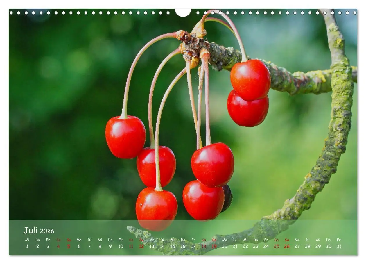 Bild: 9783457544211 | Altes Land im Wechsel der Jahreszeiten (Wandkalender 2026 DIN A3...