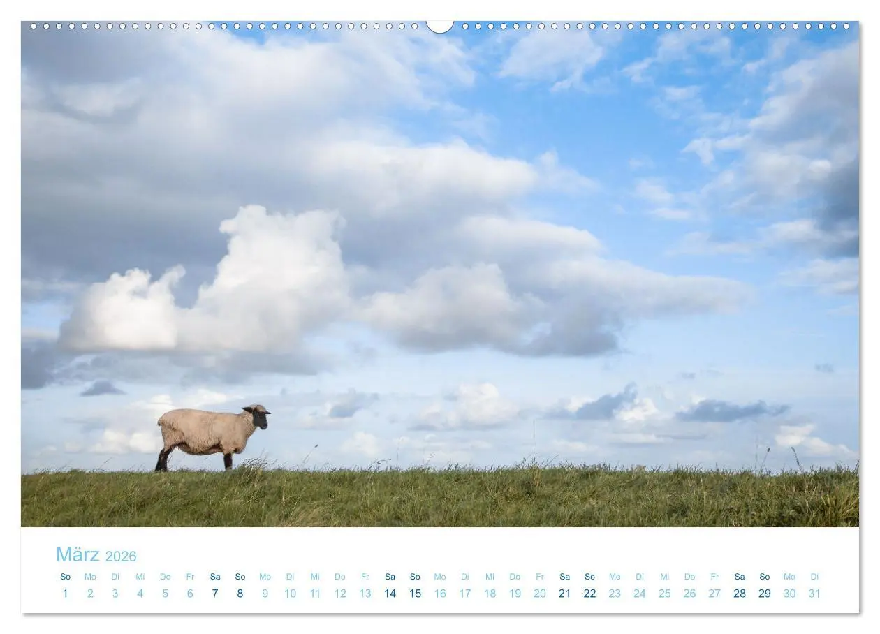 Bild: 9783457914311 | Mehr Nordsee (Wandkalender 2026 DIN A2 quer), CALVENDO Monatskalender