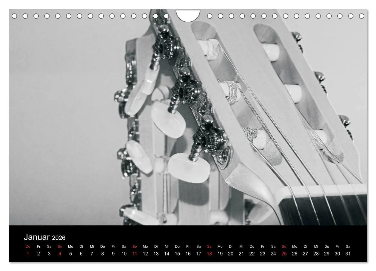 Bild: 9783516004311 | Meine Saiten Ansichten - Banjo, Gitarre, Klavier, Ukulele und...