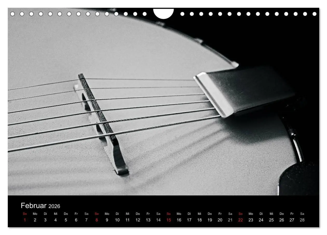 Bild: 9783516004311 | Meine Saiten Ansichten - Banjo, Gitarre, Klavier, Ukulele und...