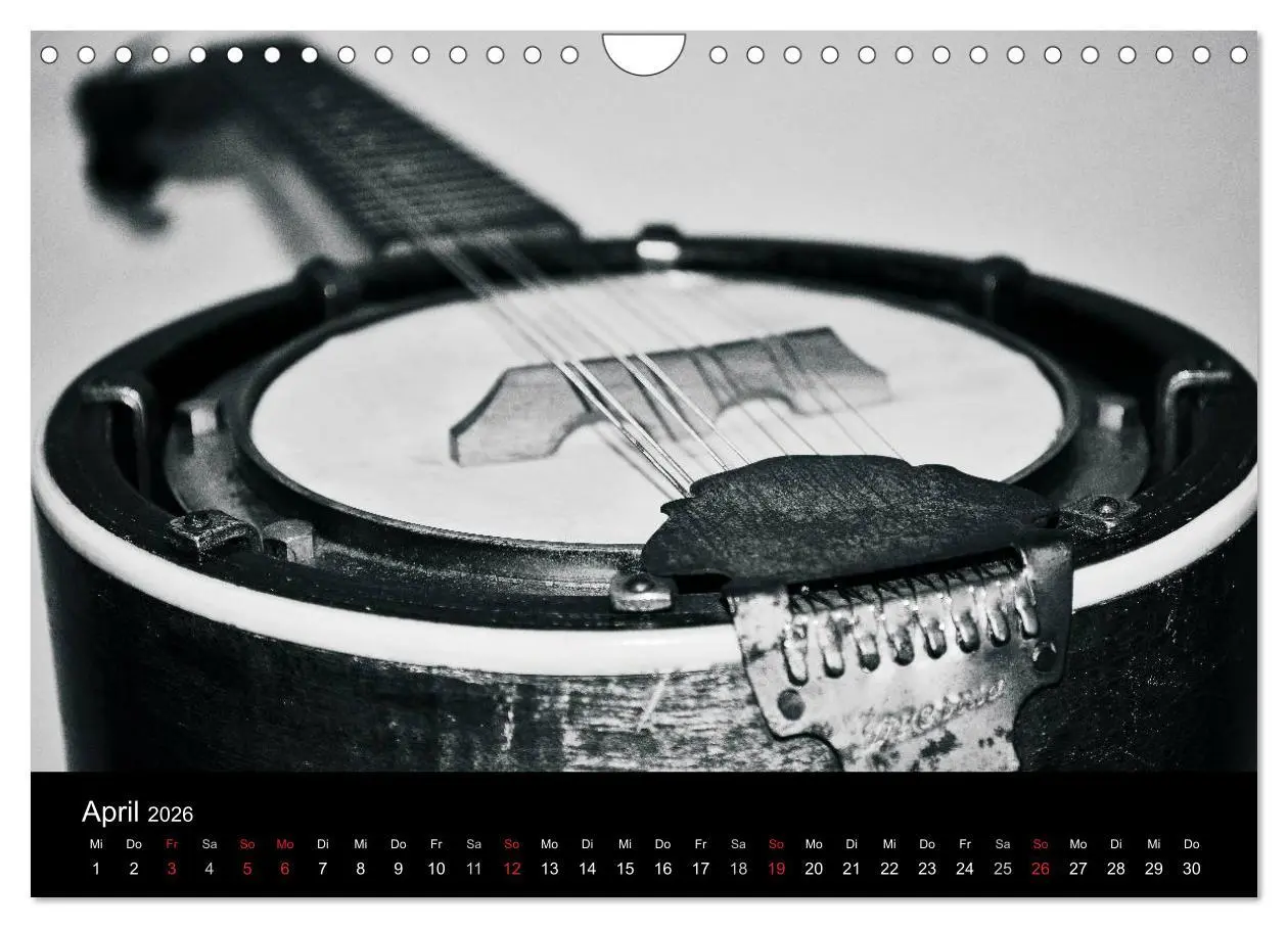 Bild: 9783516004311 | Meine Saiten Ansichten - Banjo, Gitarre, Klavier, Ukulele und...