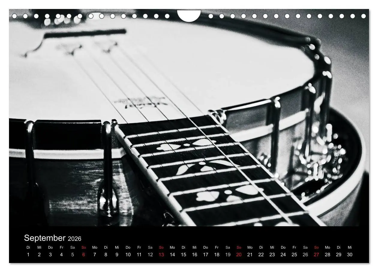 Bild: 9783516004311 | Meine Saiten Ansichten - Banjo, Gitarre, Klavier, Ukulele und...