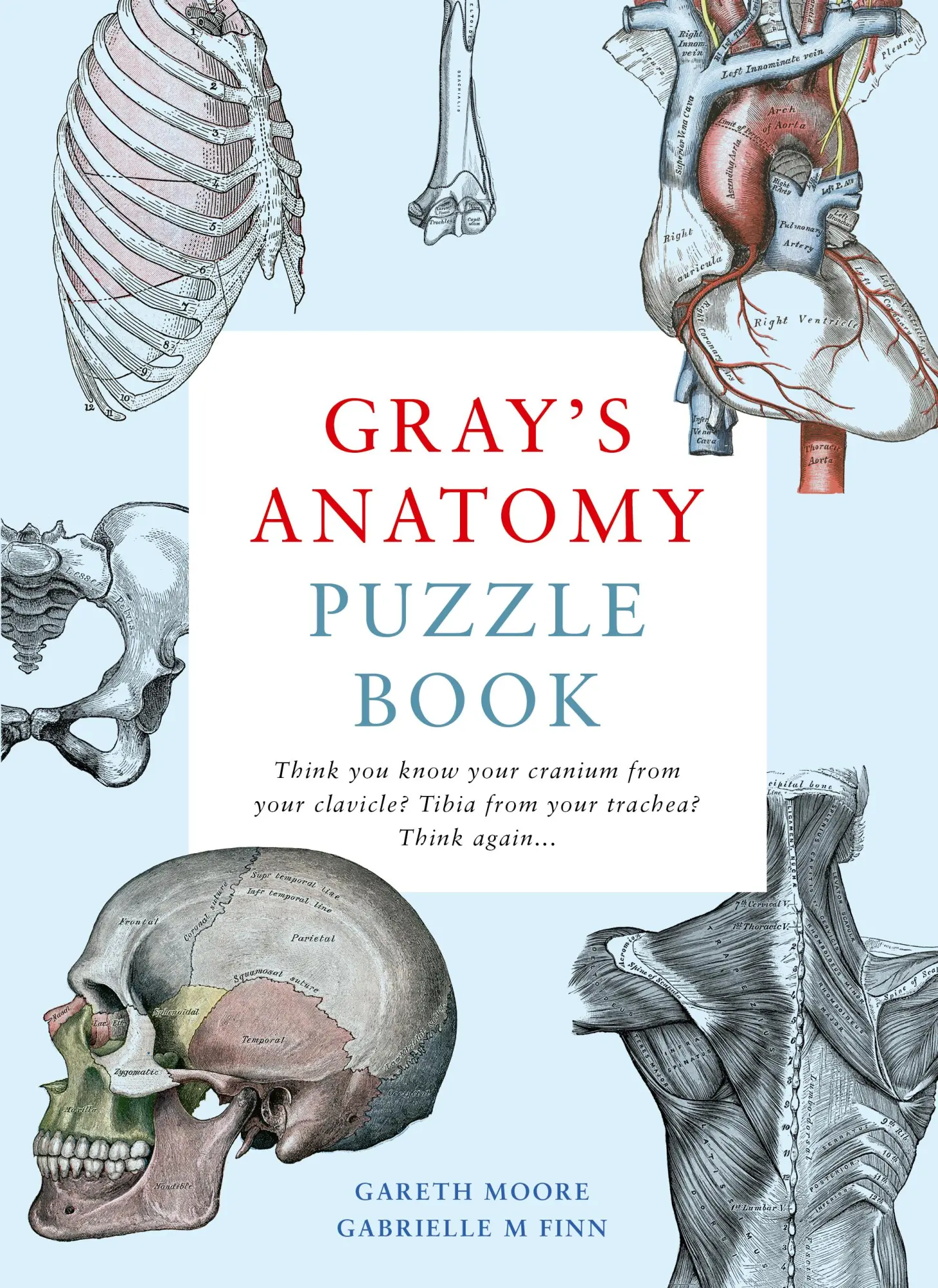 Cover: 9780711254411 | Gray's Anatomy Puzzle Book | Gareth Moore (u. a.) | Taschenbuch | 2020 Cover: 9780711254411 | Gray's Anatomy Puzzle Book | Gareth Moore (u. a.) | Taschenbuch | 2020