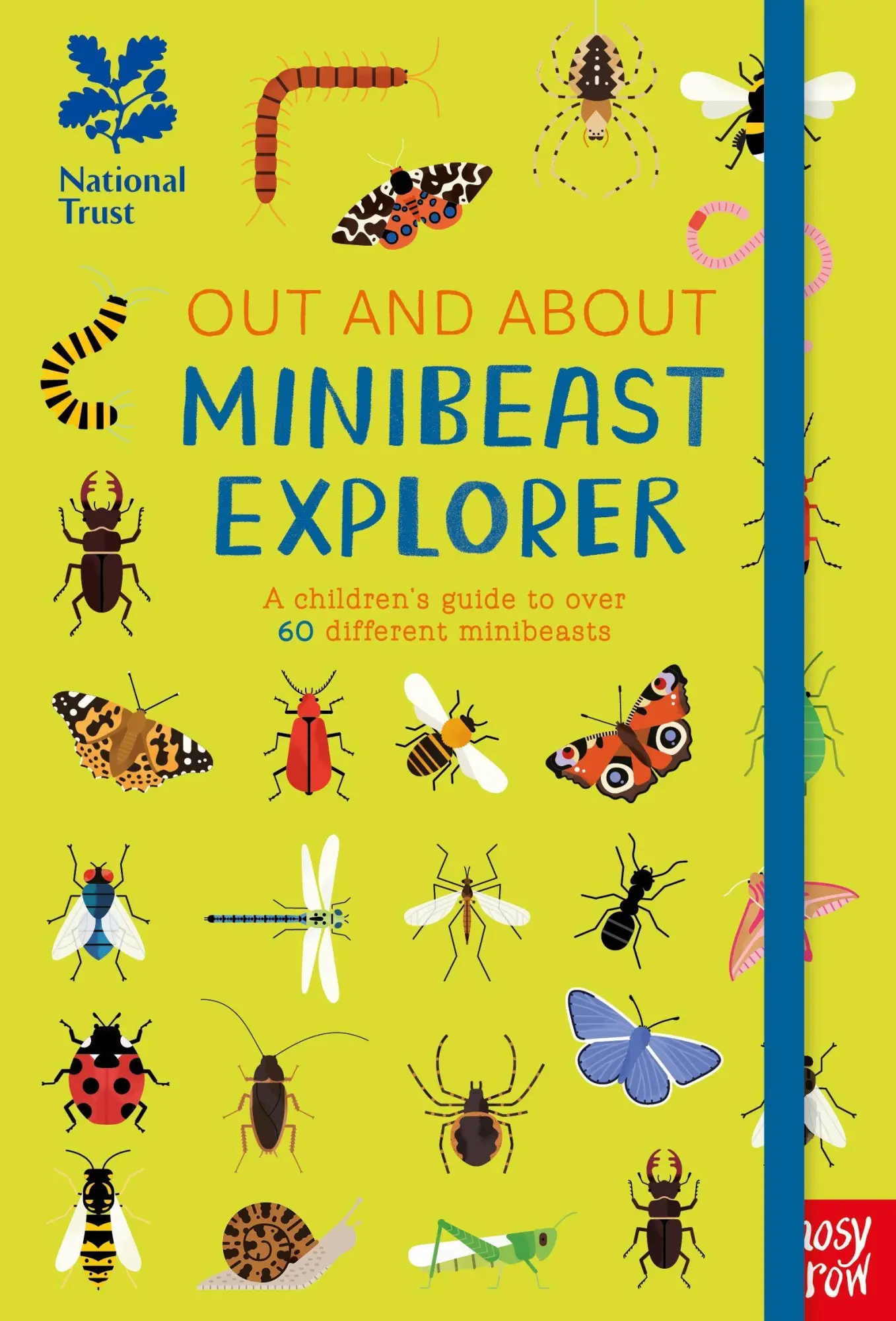 Cover: 9781788004411 | National Trust: Out and About Minibeast Explorer | Robyn Swift | Buch
