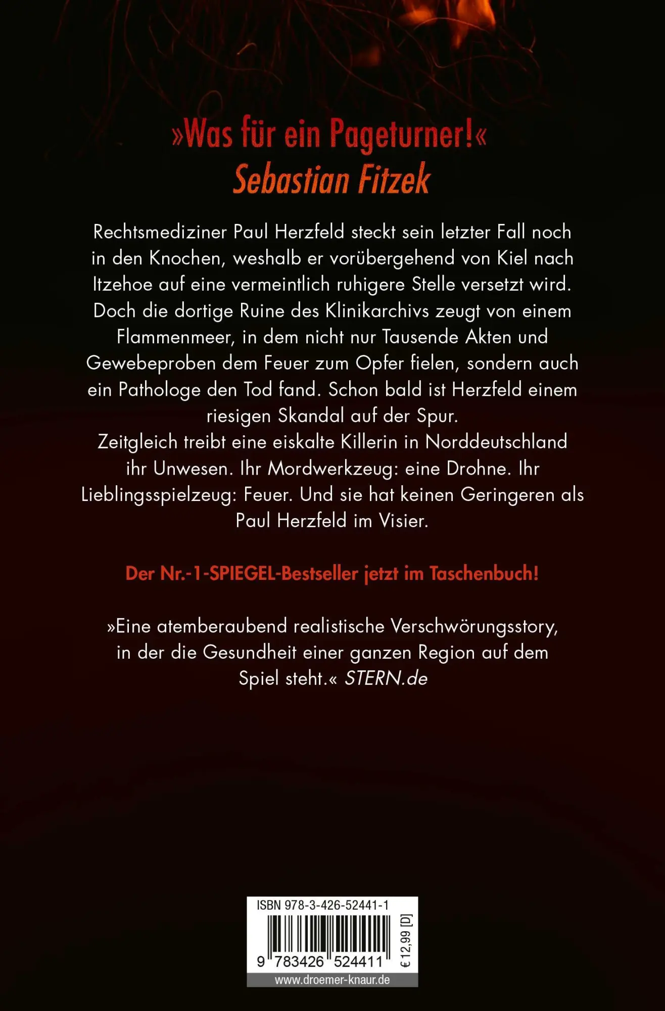 Rückseite: 9783426524411 | Abgefackelt | True-Crime-Thriller | Michael Tsokos (u. a.) | Buch