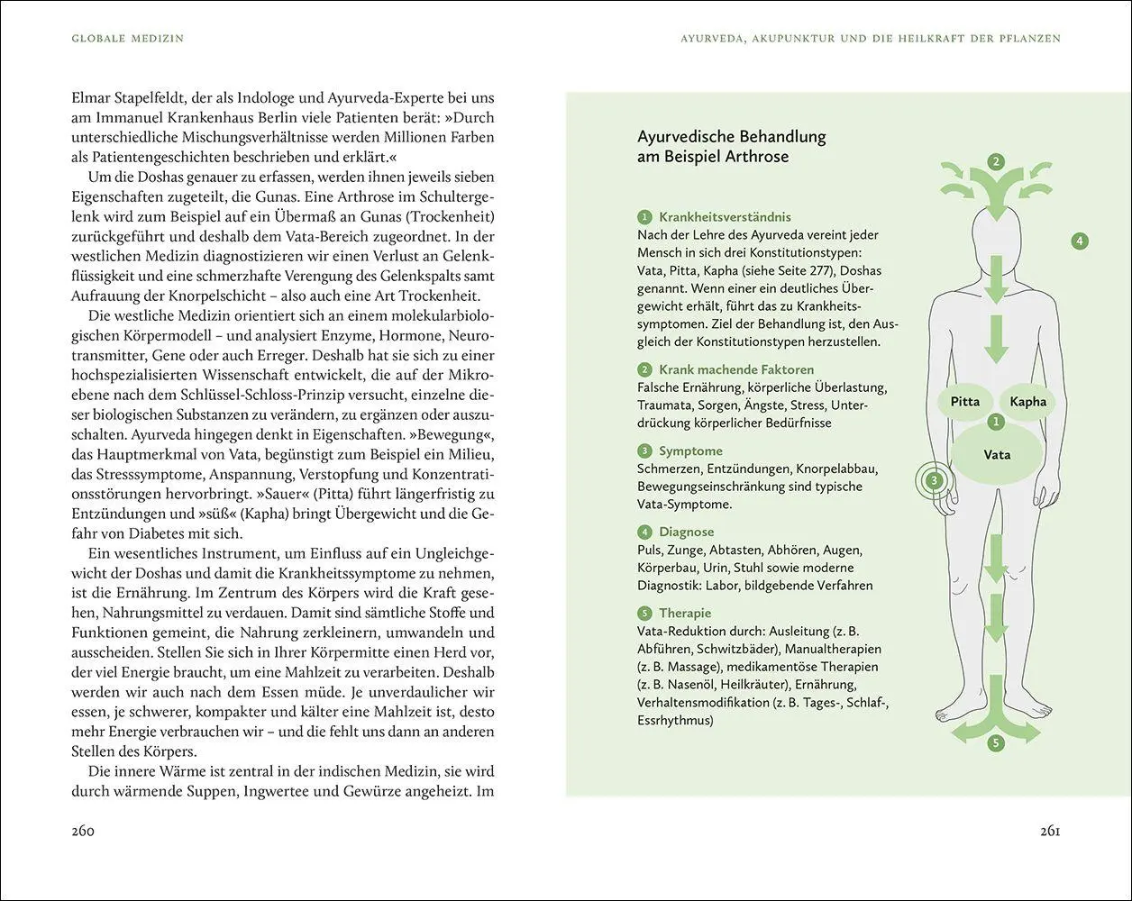 Bild: 9783458684411 | Heilen mit der Kraft der Natur | Andreas Michalsen | Taschenbuch