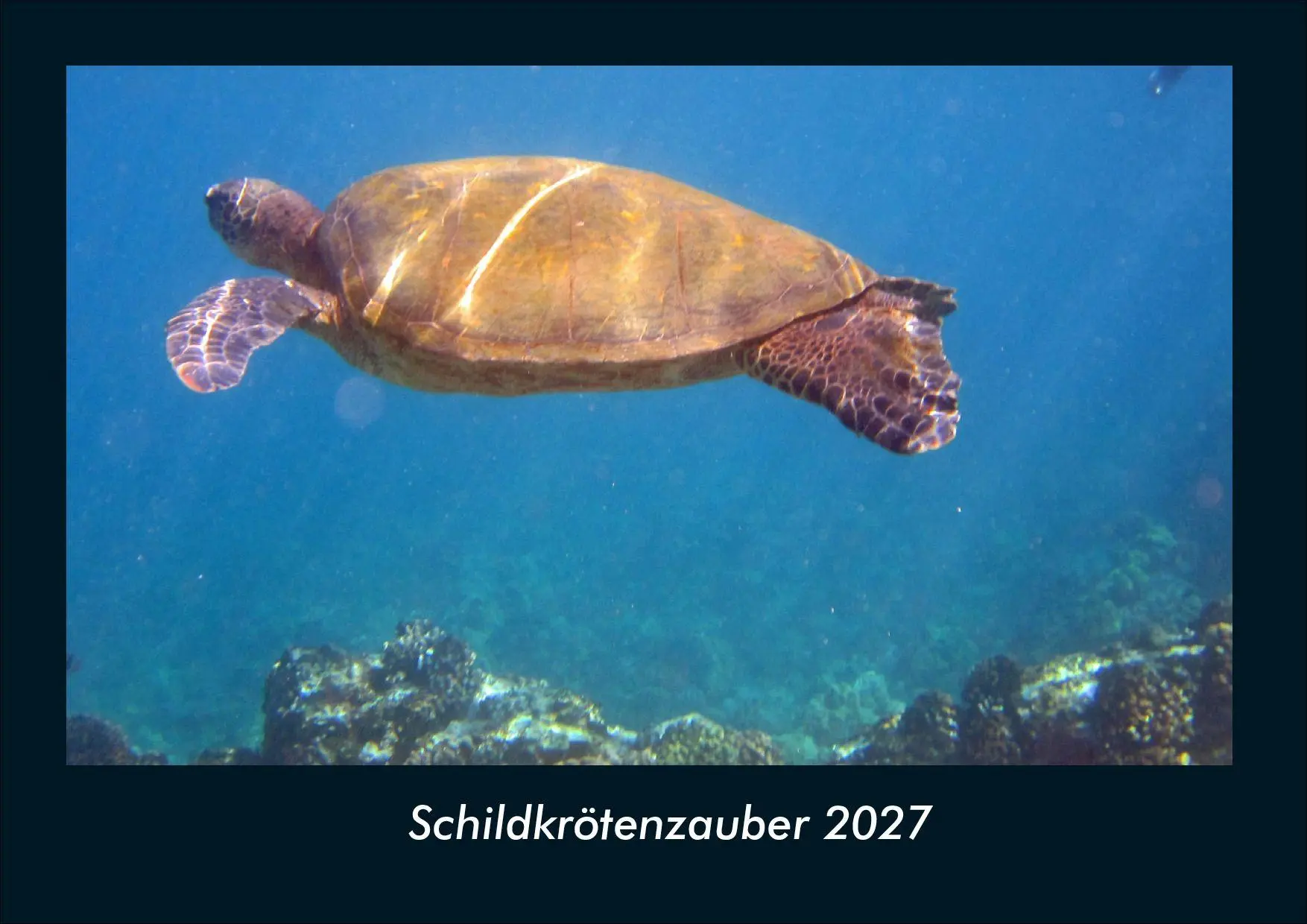 Cover: 9783695434411 | Schildkrötenzauber 2027 Fotokalender DIN A4 | Tobias Schmitt (u. a.)