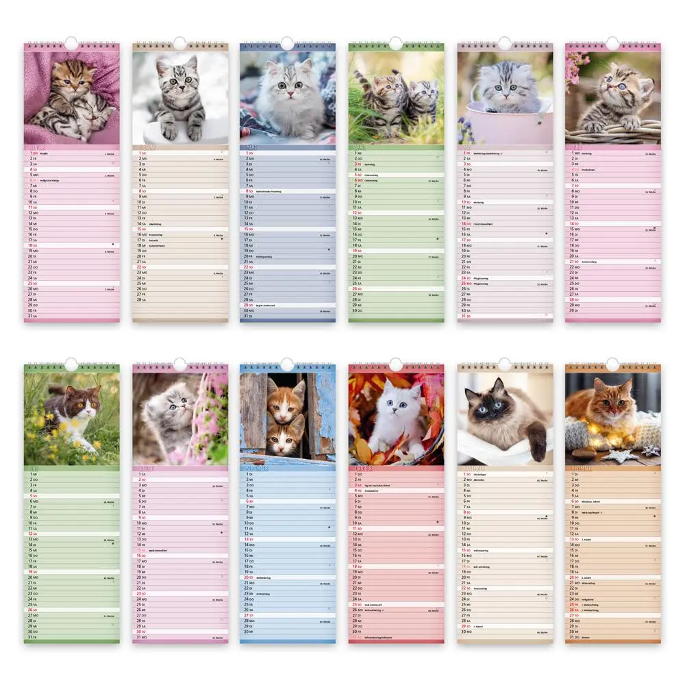 Bild: 9783988024411 | Trötsch Streifenkalender Katzen 2026 Notizkalender | KG | Kalender