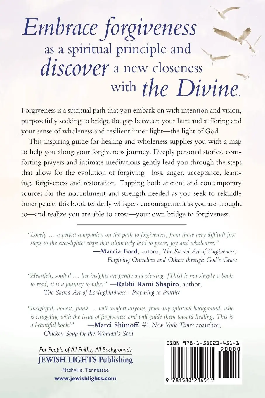 Rückseite: 9781580234511 | The Bridge to Forgiveness | Rabbi Karyn D. Kedar | Taschenbuch | 2011