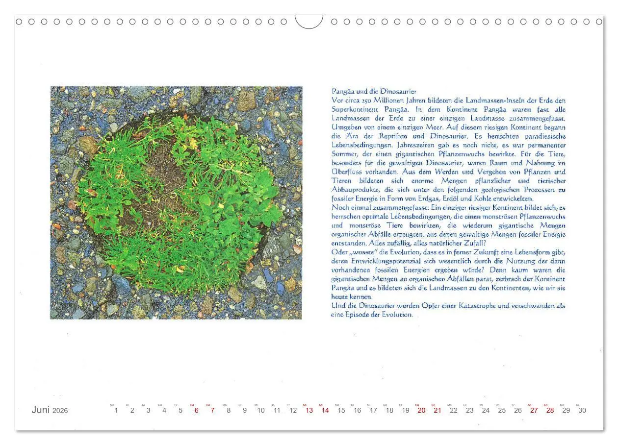 Bild: 9783457514511 | Wundervolle Wirklichkeit - Nachdenk-Kalender (Wandkalender 2026 DIN...