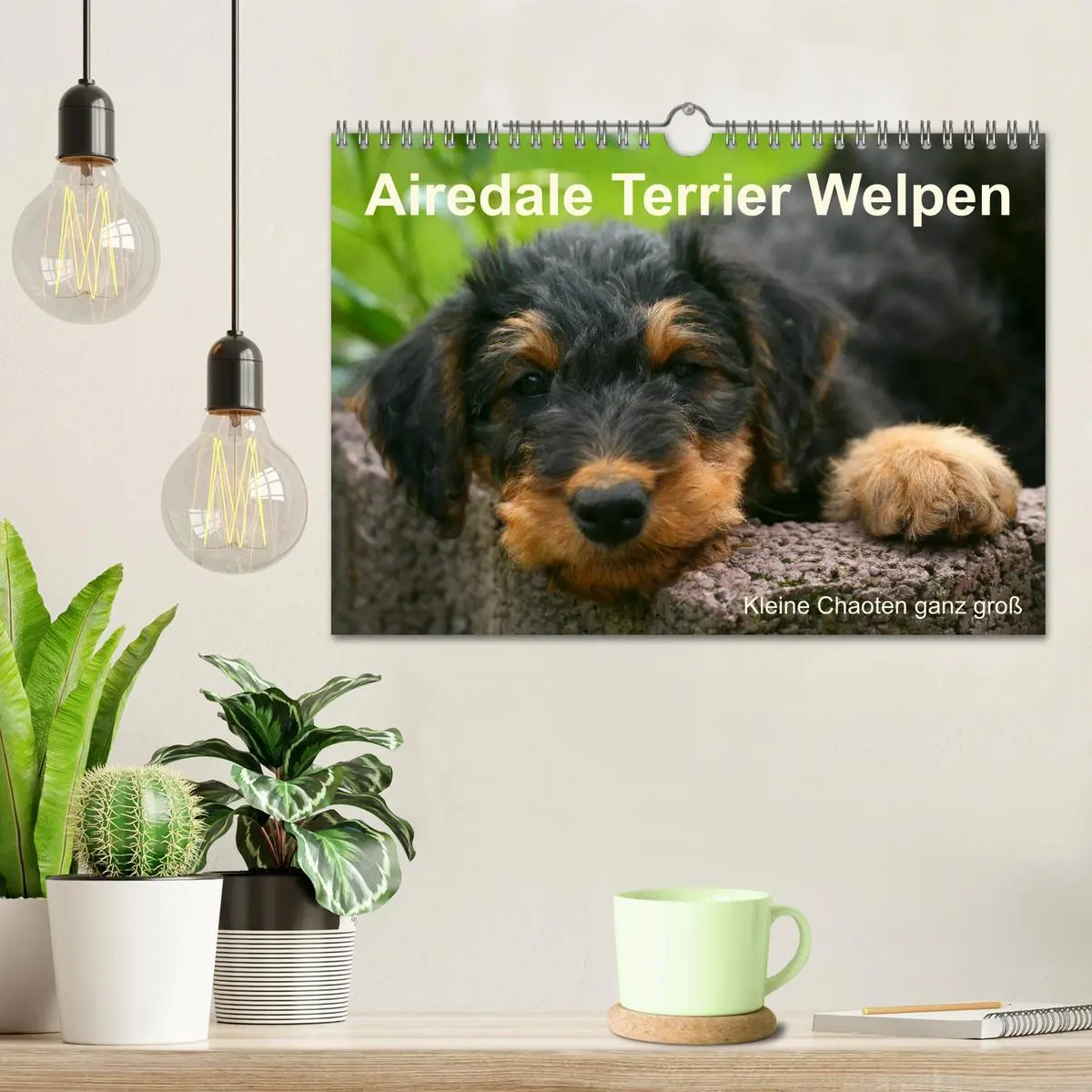 Bild: 9783516154511 | Airedale Terrier Welpen (Wandkalender 2026 DIN A4 quer), CALVENDO...