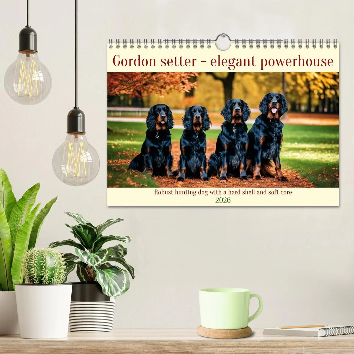 Bild: 9783516534511 | Gordon Setter - elegant powerhouse (Wall Calendar 2026 DIN A4...