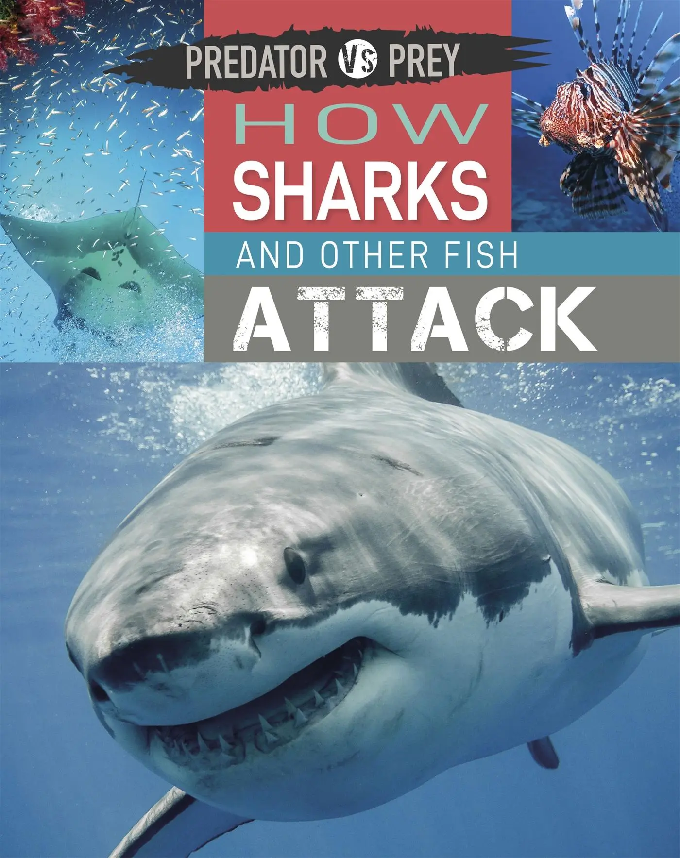 Cover: 9781526314611 | Predator vs Prey: How Sharks and other Fish Attack | Tim Harris | Buch
