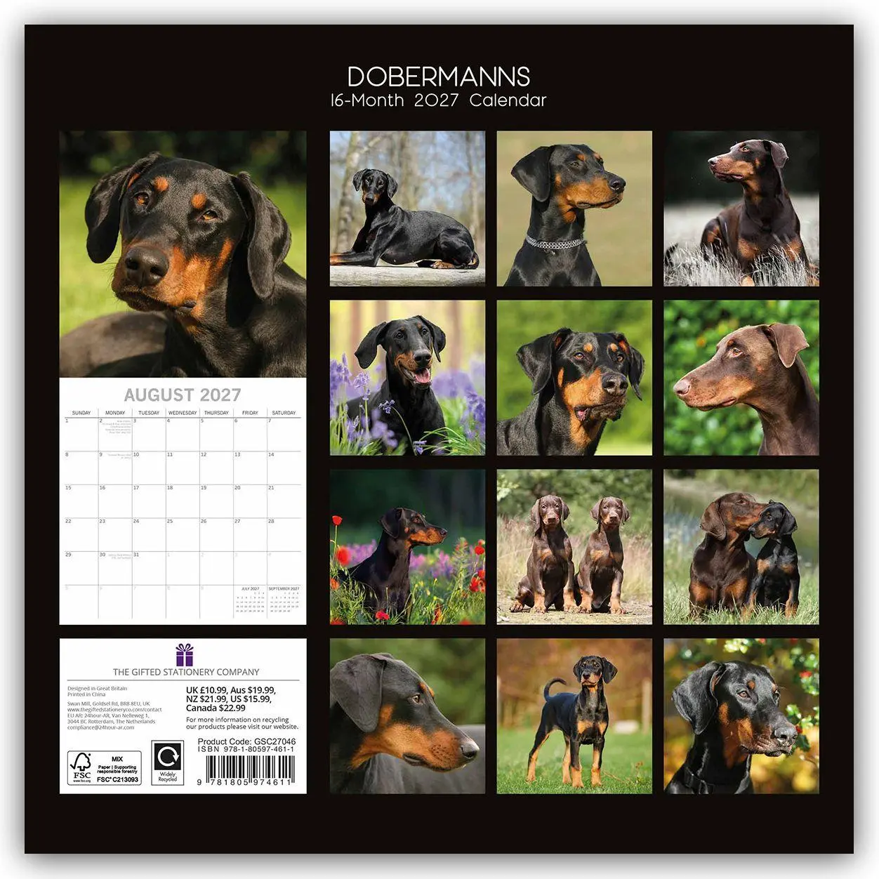 Rückseite: 9781805974611 | Dobermans - Dobermann 2027 - 16-Monatskalender | Ltd | Kalender | 2027
