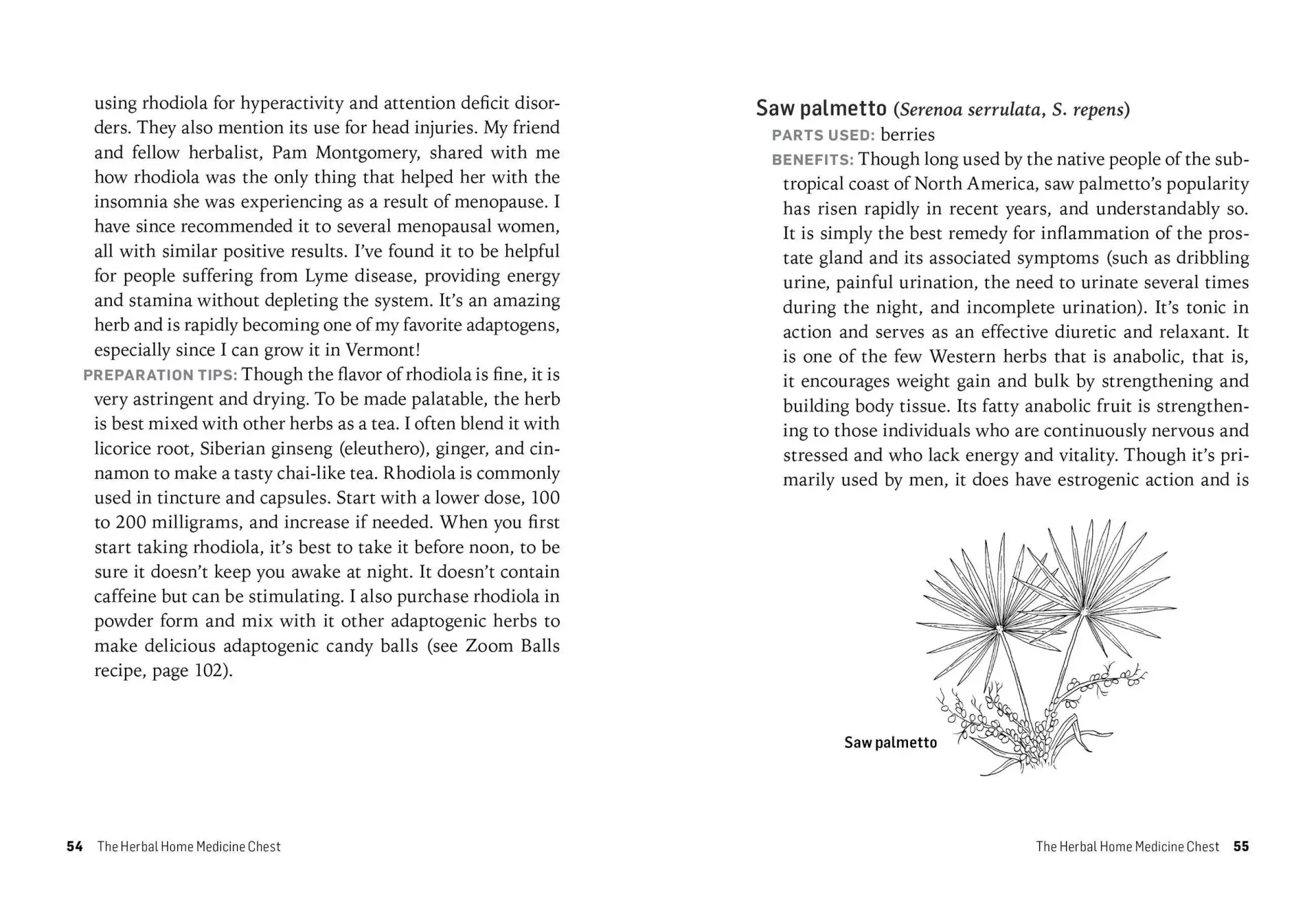 Bild: 9781612124711 | Herbs for Long-Lasting Health | Rosemary Gladstar | Taschenbuch | 2014