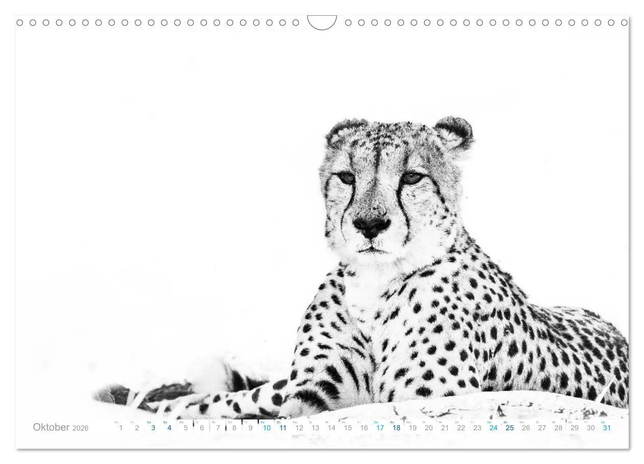 Bild: 9783457804711 | AFRIKA - Schwarz-weiss Fotografien im modernen "High Key" Look...