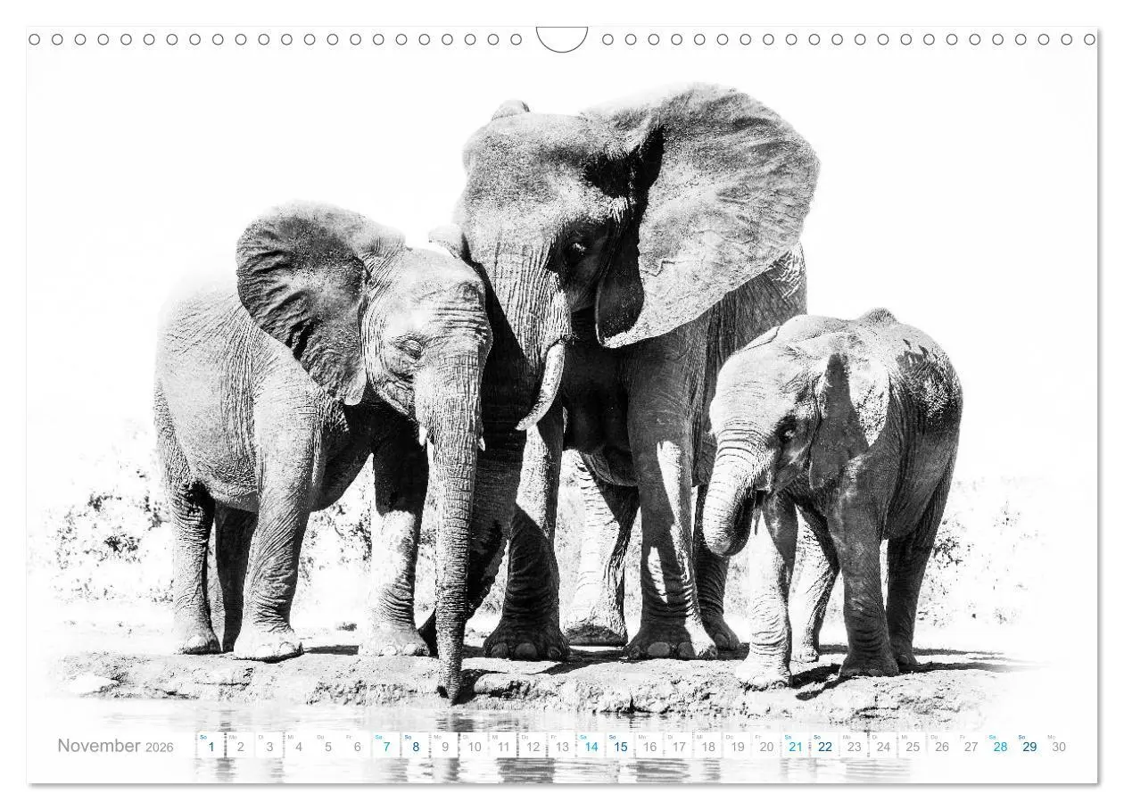 Bild: 9783457804711 | AFRIKA - Schwarz-weiss Fotografien im modernen "High Key" Look...