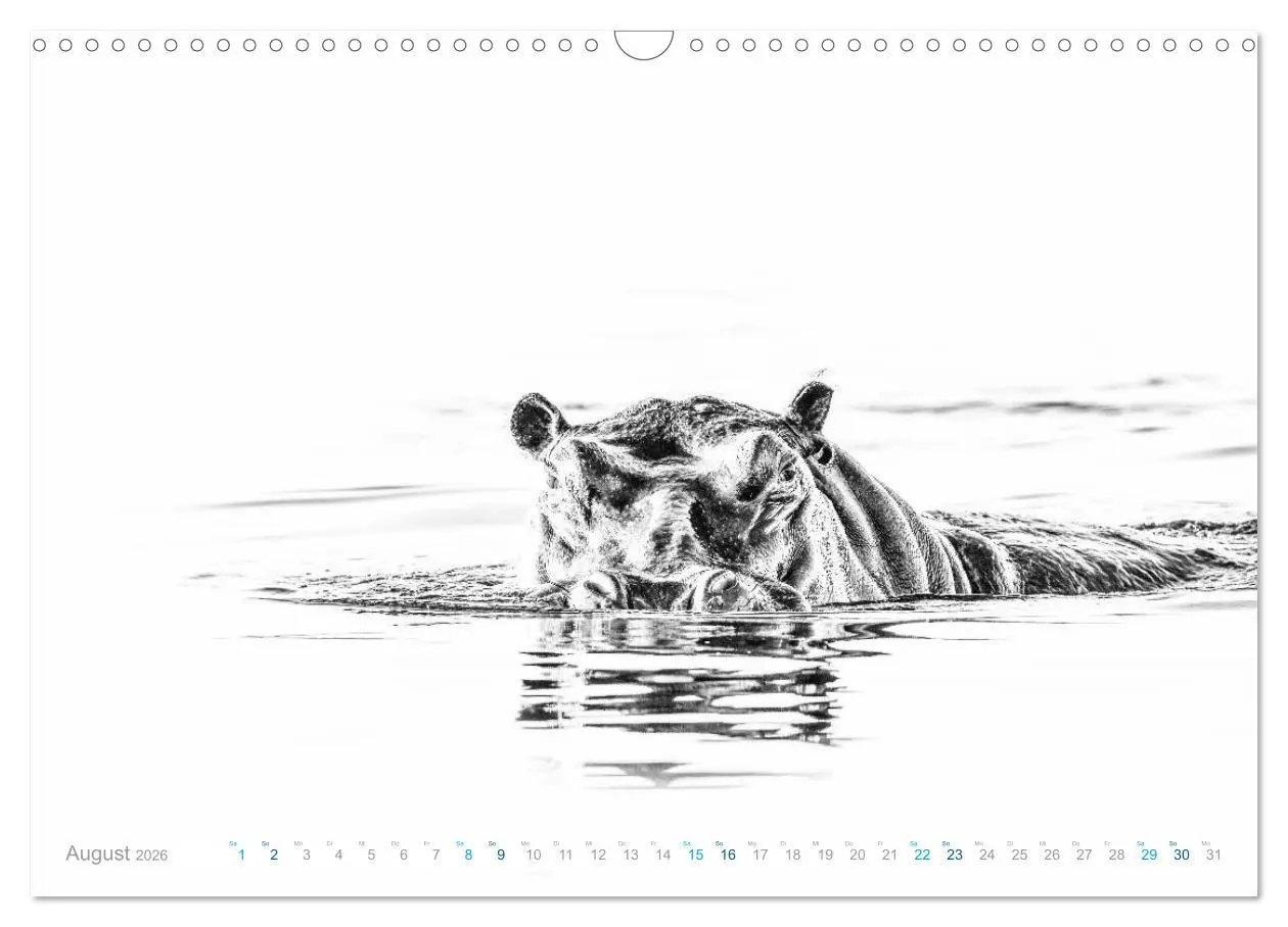 Bild: 9783457804711 | AFRIKA - Schwarz-weiss Fotografien im modernen "High Key" Look...