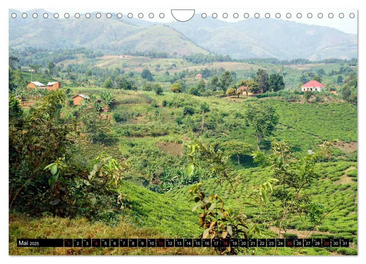 Bild: 9783435254811 | Afrikas Perle Uganda (Wandkalender 2025 DIN A4 quer), CALVENDO...