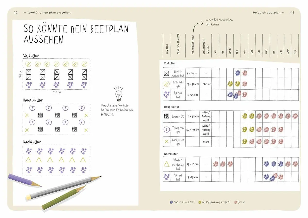 Bild: 9783818624811 | Dein Projekt. Dein Guide. Gärtnern mit Mischkultur | from zero to hero