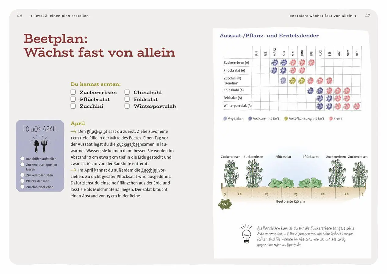 Bild: 9783818624811 | Dein Projekt. Dein Guide. Gärtnern mit Mischkultur | from zero to hero