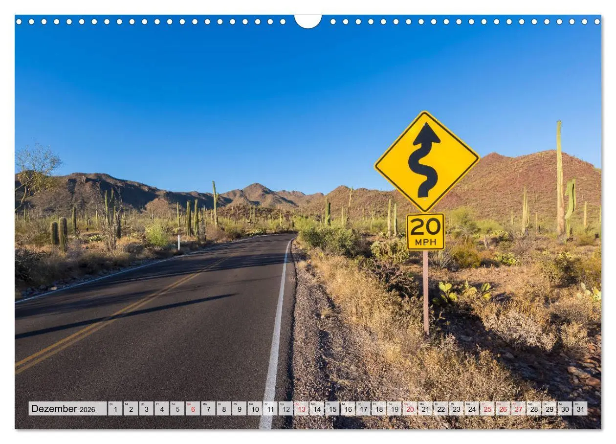Bild: 9783457775011 | SAGUARO NATIONAL PARK Heimat des Saguaro-Kaktus (Wandkalender 2026...