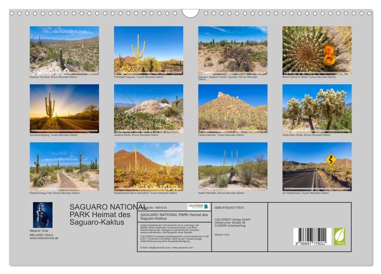Bild: 9783457775011 | SAGUARO NATIONAL PARK Heimat des Saguaro-Kaktus (Wandkalender 2026...