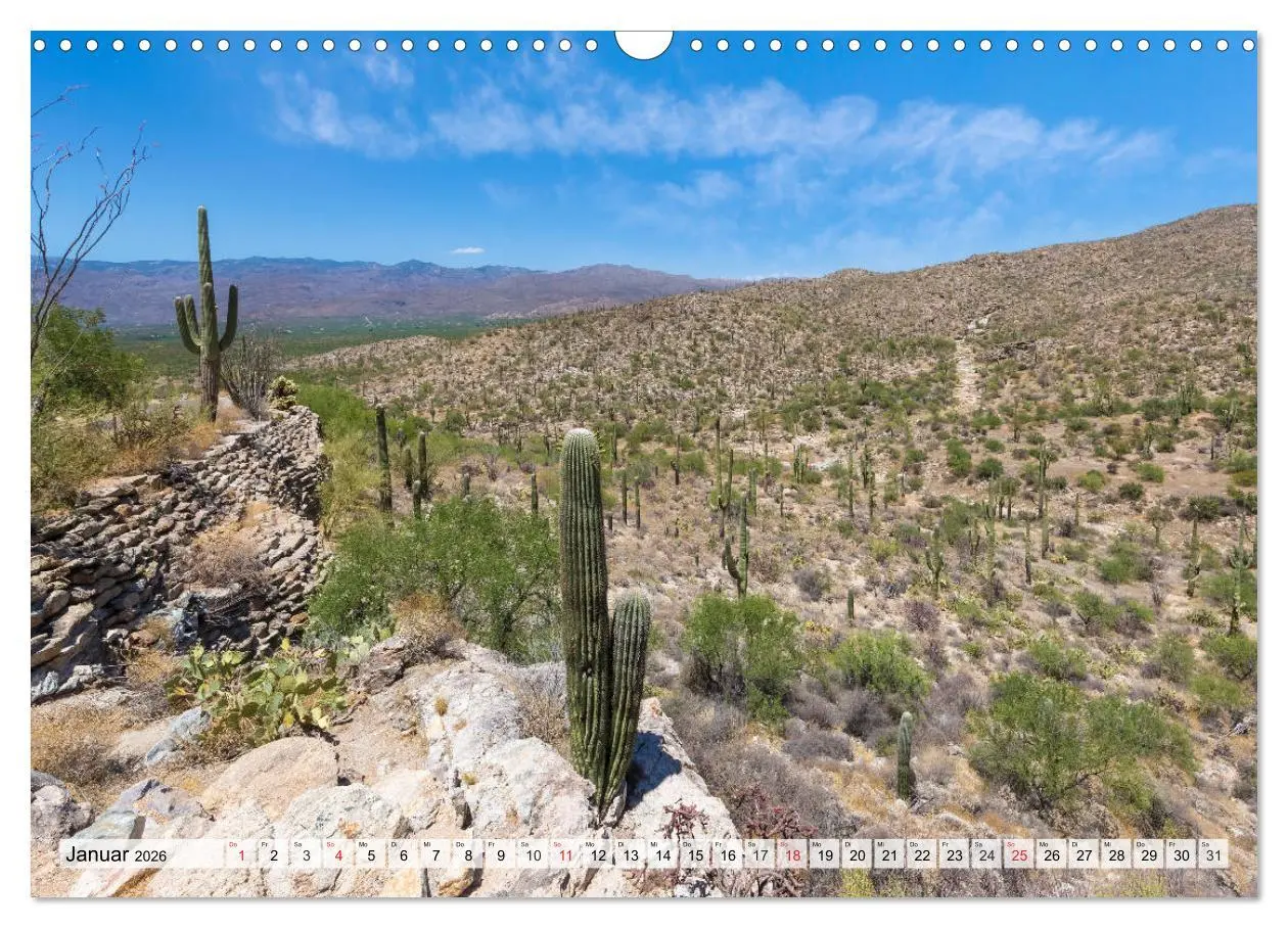 Bild: 9783457775011 | SAGUARO NATIONAL PARK Heimat des Saguaro-Kaktus (Wandkalender 2026...