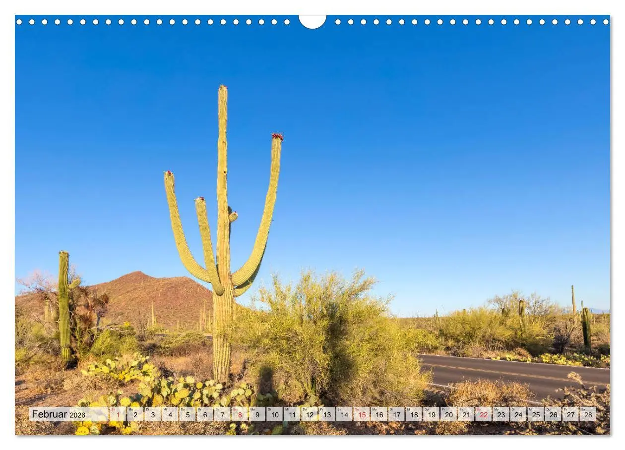 Bild: 9783457775011 | SAGUARO NATIONAL PARK Heimat des Saguaro-Kaktus (Wandkalender 2026...