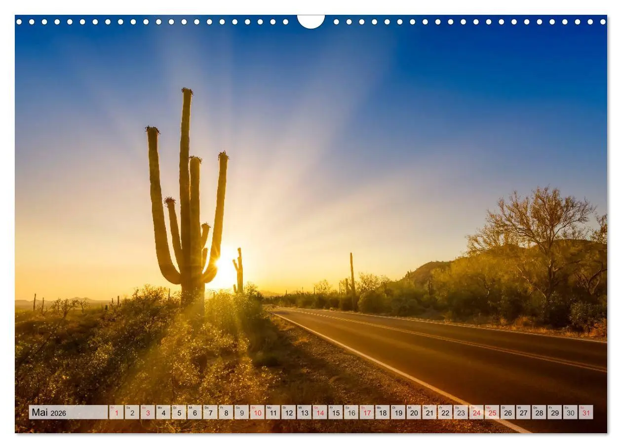 Bild: 9783457775011 | SAGUARO NATIONAL PARK Heimat des Saguaro-Kaktus (Wandkalender 2026...