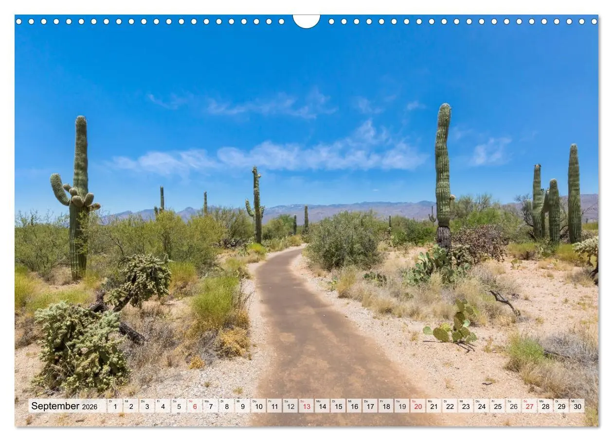 Bild: 9783457775011 | SAGUARO NATIONAL PARK Heimat des Saguaro-Kaktus (Wandkalender 2026...