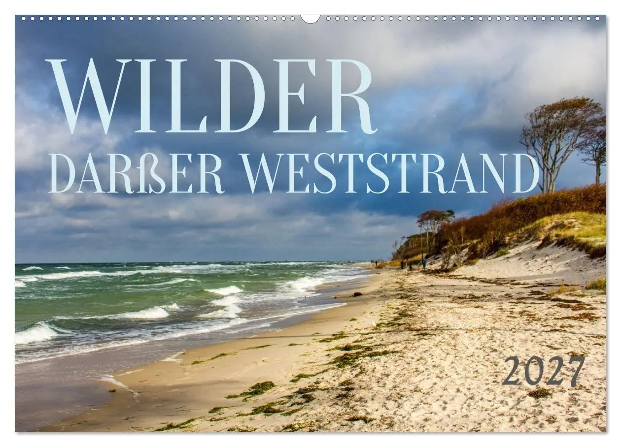 Cover: 9783516795011 | Wilder Darßer Weststrand (Wandkalender 2027 DIN A2 quer), CALVENDO...