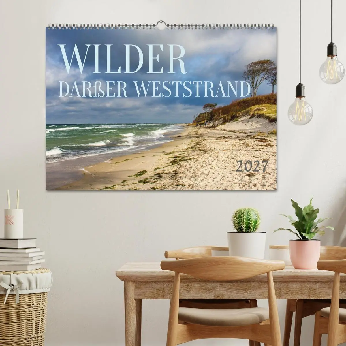 Bild: 9783516795011 | Wilder Darßer Weststrand (Wandkalender 2027 DIN A2 quer), CALVENDO...
