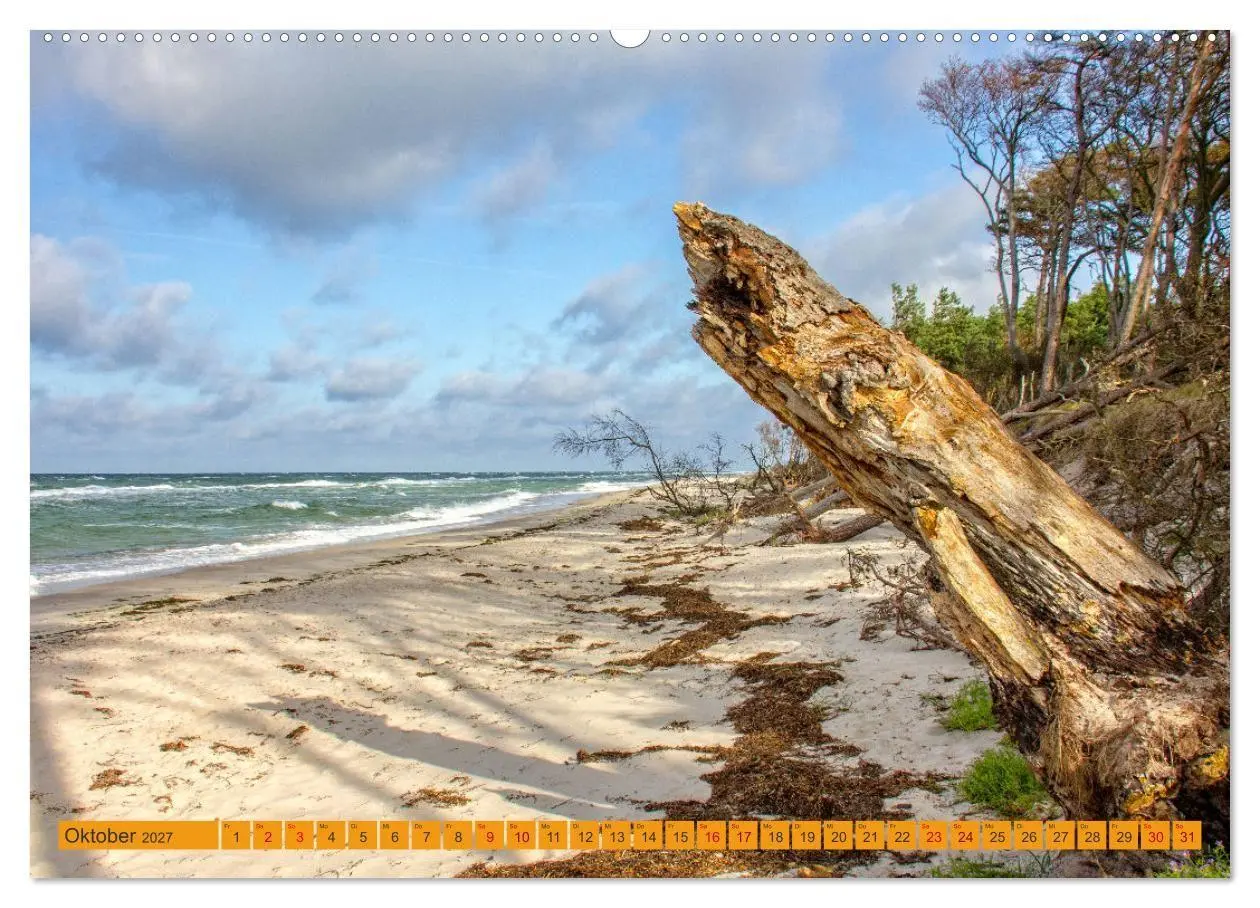 Bild: 9783516795011 | Wilder Darßer Weststrand (Wandkalender 2027 DIN A2 quer), CALVENDO...