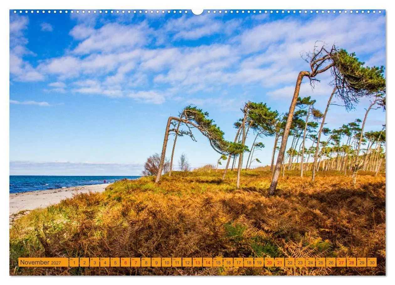 Bild: 9783516795011 | Wilder Darßer Weststrand (Wandkalender 2027 DIN A2 quer), CALVENDO...