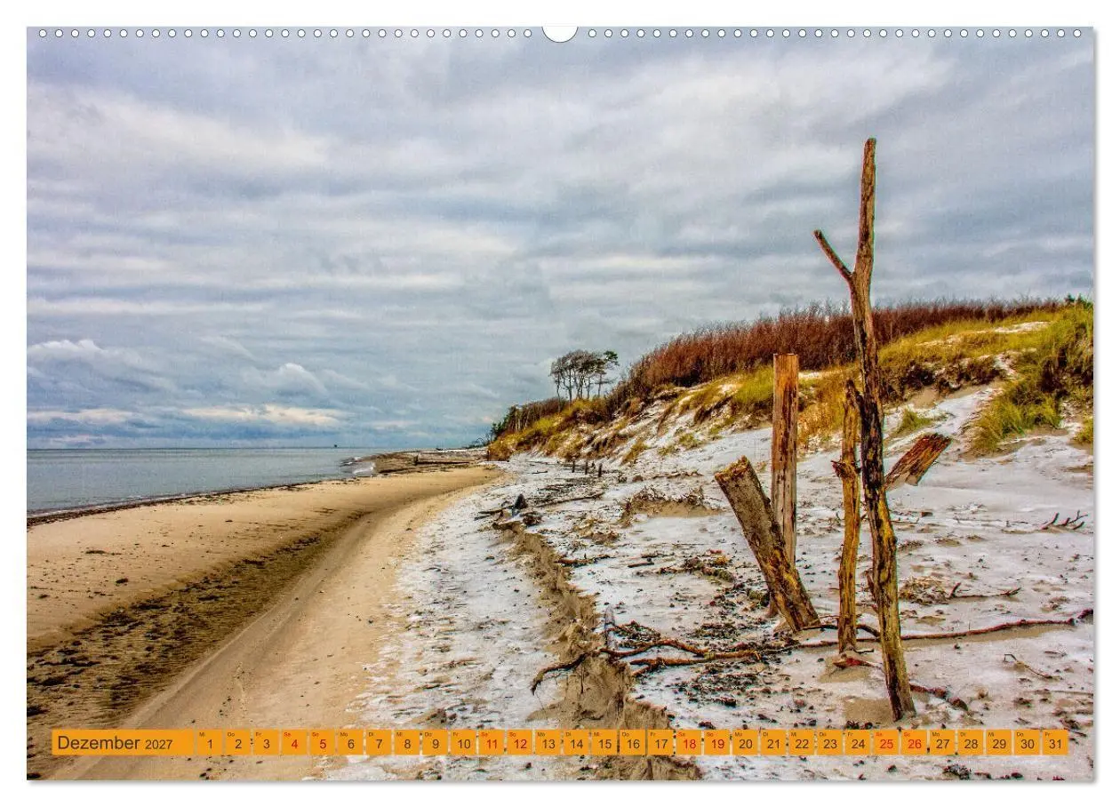 Bild: 9783516795011 | Wilder Darßer Weststrand (Wandkalender 2027 DIN A2 quer), CALVENDO...