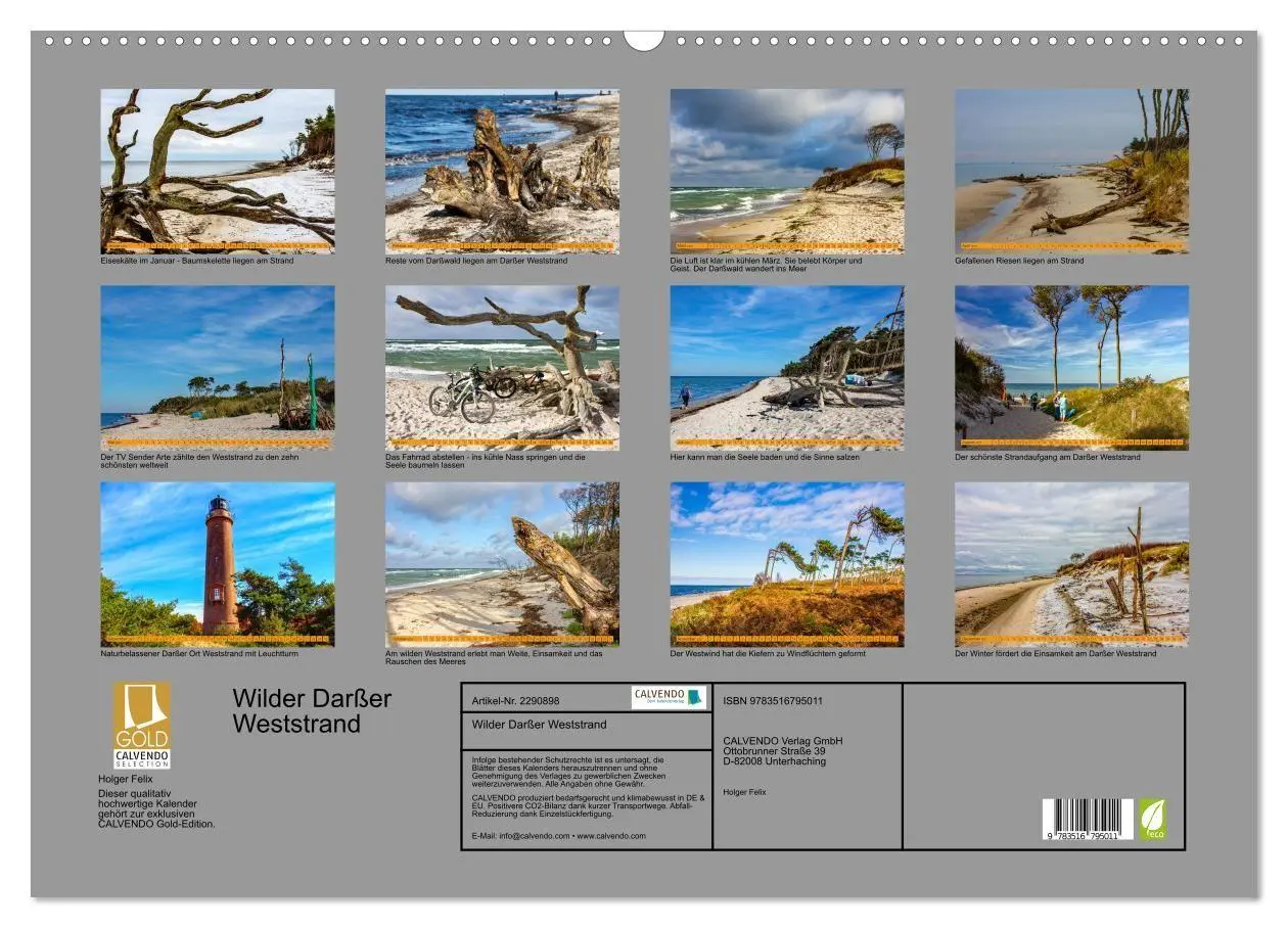 Bild: 9783516795011 | Wilder Darßer Weststrand (Wandkalender 2027 DIN A2 quer), CALVENDO...